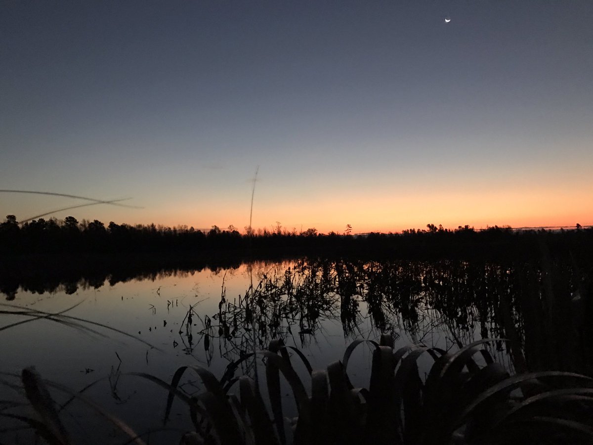 JamesSmithSC's tweet photo. #LoveSC #TwoPonds https://t.co/5BU5K696Zm