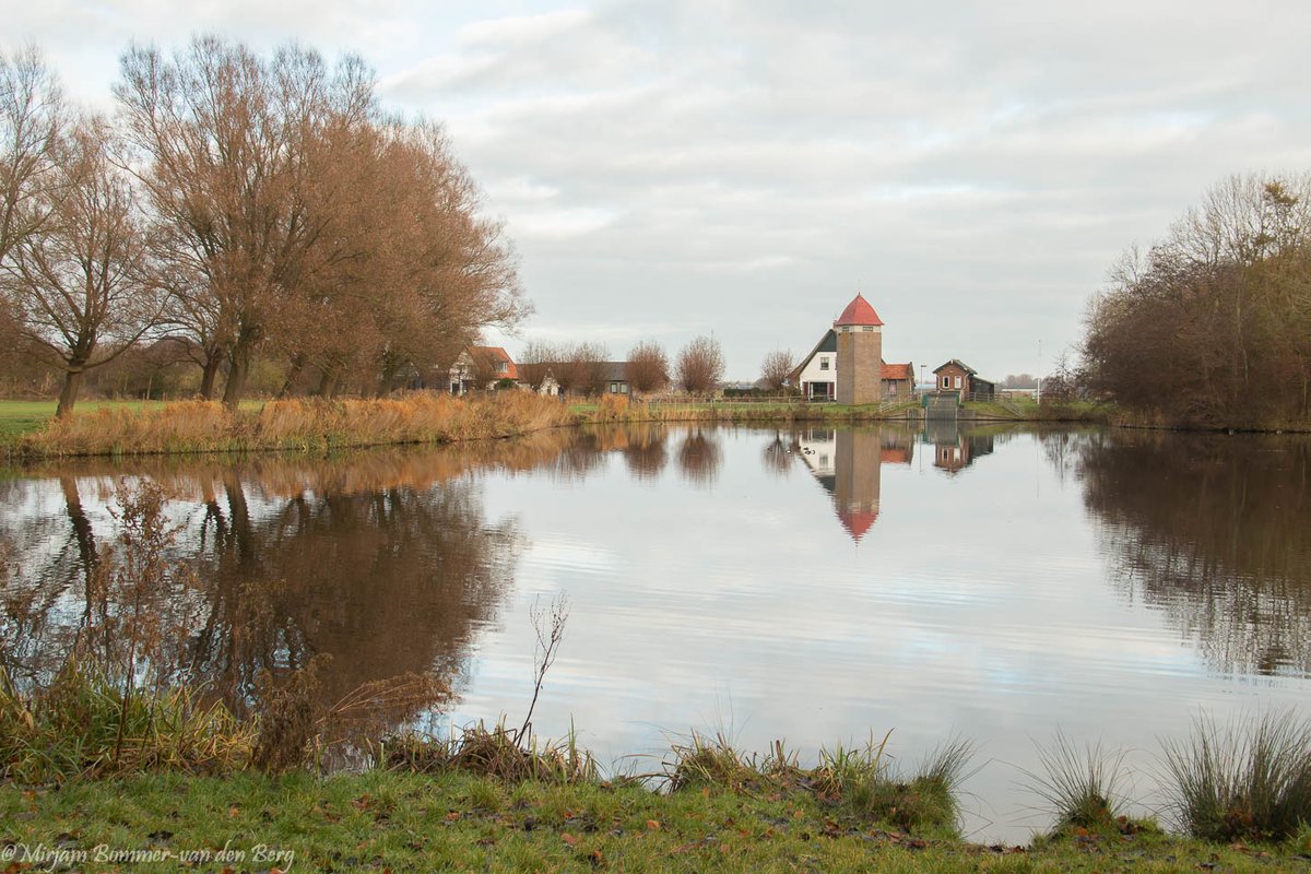 Bron: Mirjam