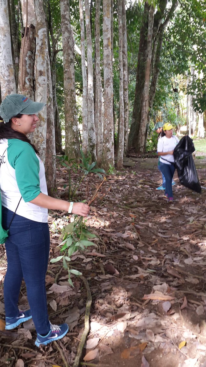 HeinekenPanama's tweet photo. Entre variedad de tareas, ayudamos un poquito con el mejoramiento de las condiciones del Parque Municipal Summit. 

#VD2016 #SoyVoluntario https://t.co/6OgDSm71p6