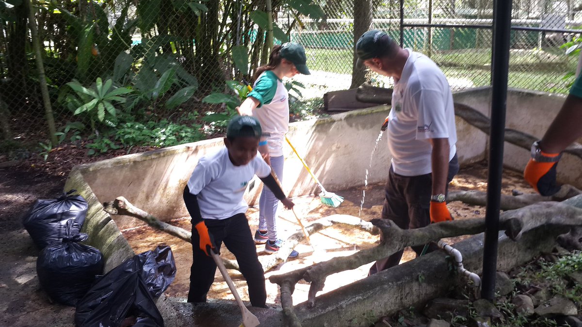 HeinekenPanama's tweet photo. Entre variedad de tareas, ayudamos un poquito con el mejoramiento de las condiciones del Parque Municipal Summit. 

#VD2016 #SoyVoluntario https://t.co/6OgDSm71p6