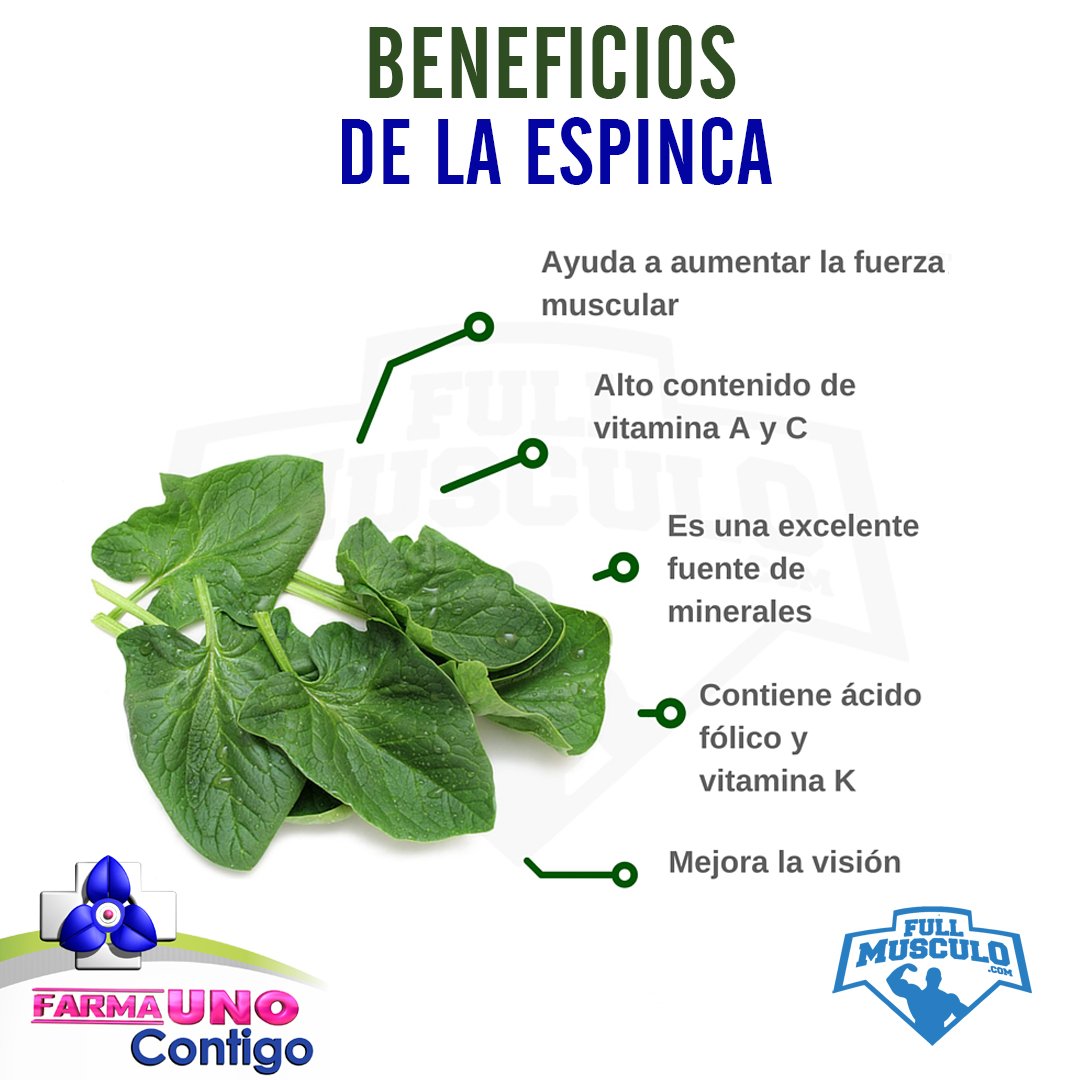 FarmaUno's tweet photo. ¡#Espinacas para el almuerzo! Ideales en una ensalada cruda. https://t.co/LsSG0iNdLA