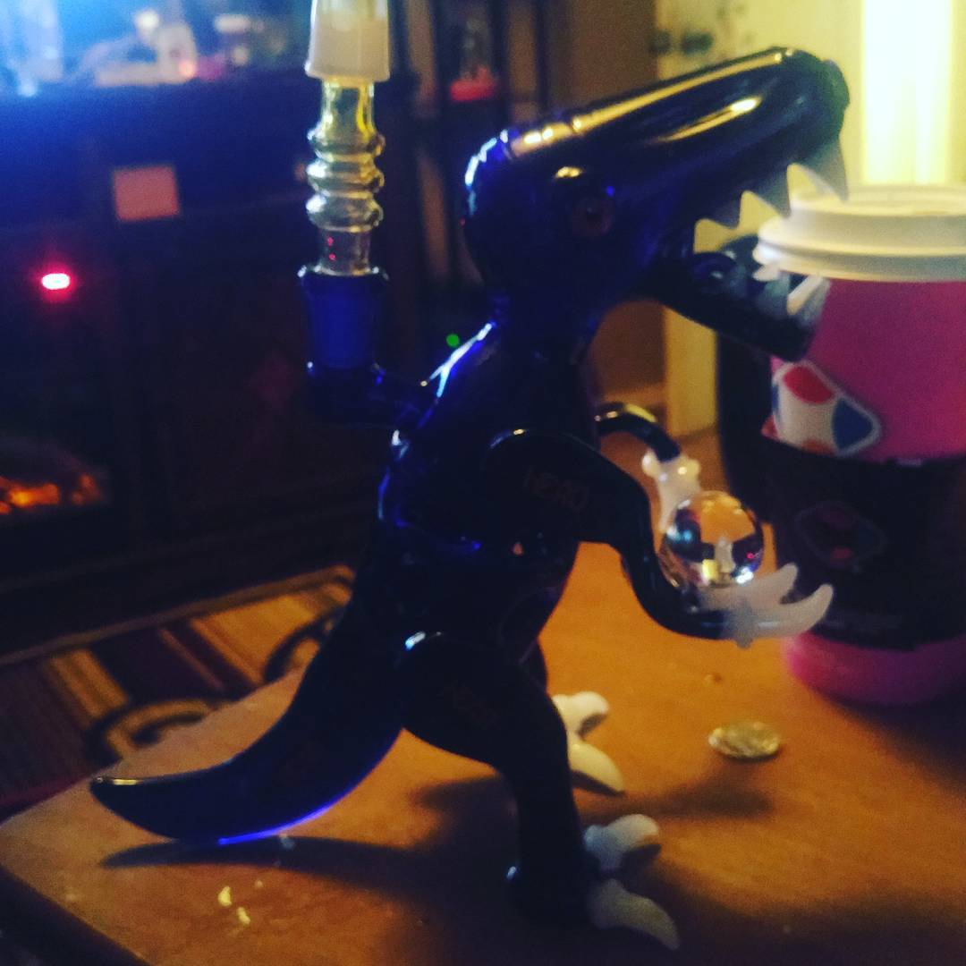 maximusmedicals's tweet photo. #dabasaurus rex up early in the morn. Guess I'll join him for a #bong and a blintz. Maybe #smoke and #pancake. #710society #420 #dabtastic https://t.co/16MI0o18iT