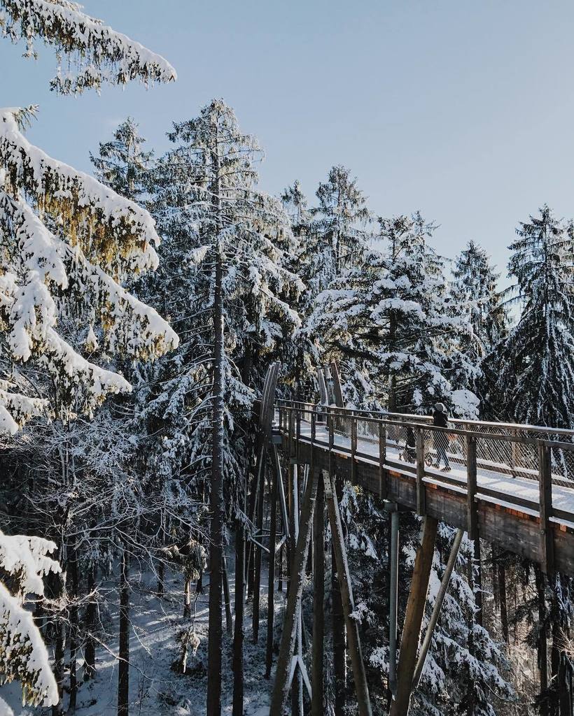 HUNDERTMARK tweet media