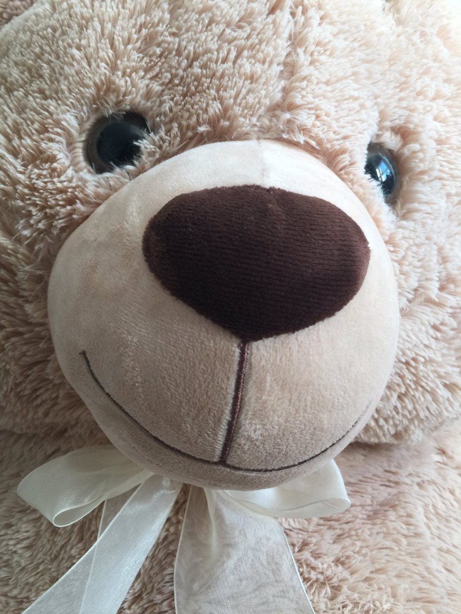 iSimulateTed's tweet image. Teddy is back on the road next week - just back from sim show in Holland with @MDTPhil - Wales next week!