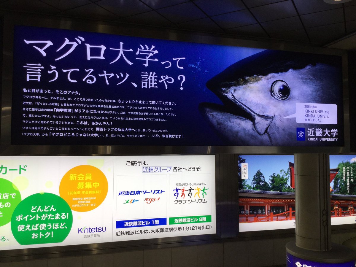 西江尊徳 Twitterren 近畿大学 マグロ大学って言うてるヤツ 誰や 今夜は 富士ゼロックスj Stars 納会 なんば 近鉄難波駅の改札へ下りるエレベーターの前にある やたら目立つマグロの写真 思わずマグロと目が合った 西江尊徳 Twitterren 近畿大学 マグロ大学って言うてるヤツ 誰や 今夜は 富士ゼロックスj Stars 納会 なんば 近鉄難波駅の改札へ下りるエレベーターの前にある やたら目立つマグロの写真 思わずマグロと目が合った