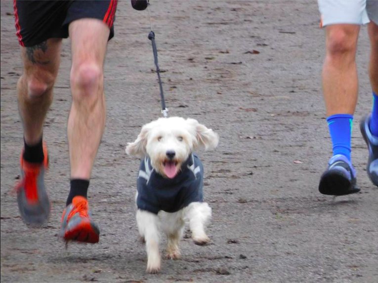 Gooleparkrun (@gooleparkrun1) on Twitter photo 