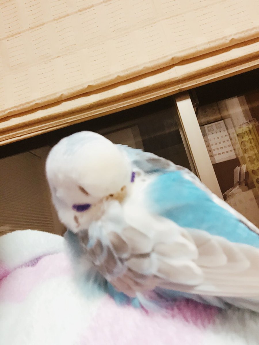 寝言がうるさい 寝言がうるさい