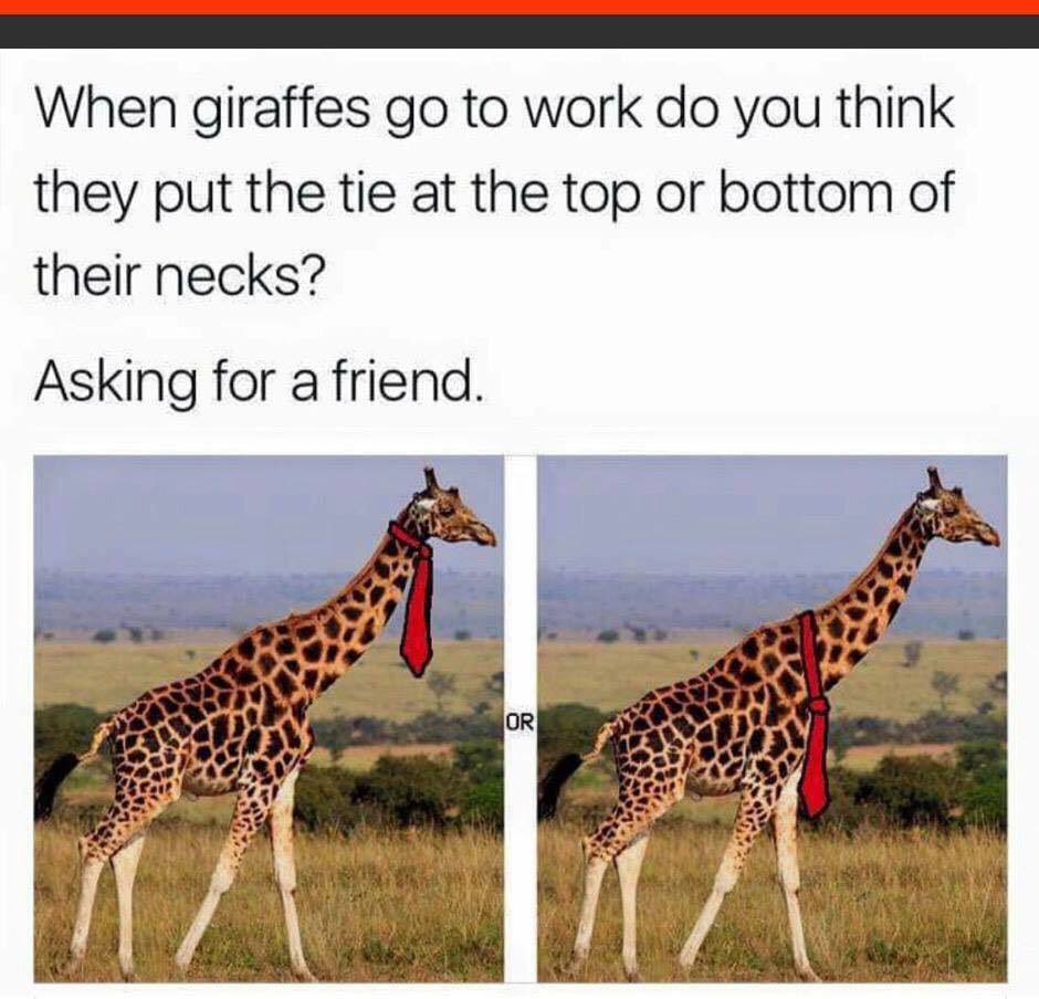 BeaconDesign's tweet image. 