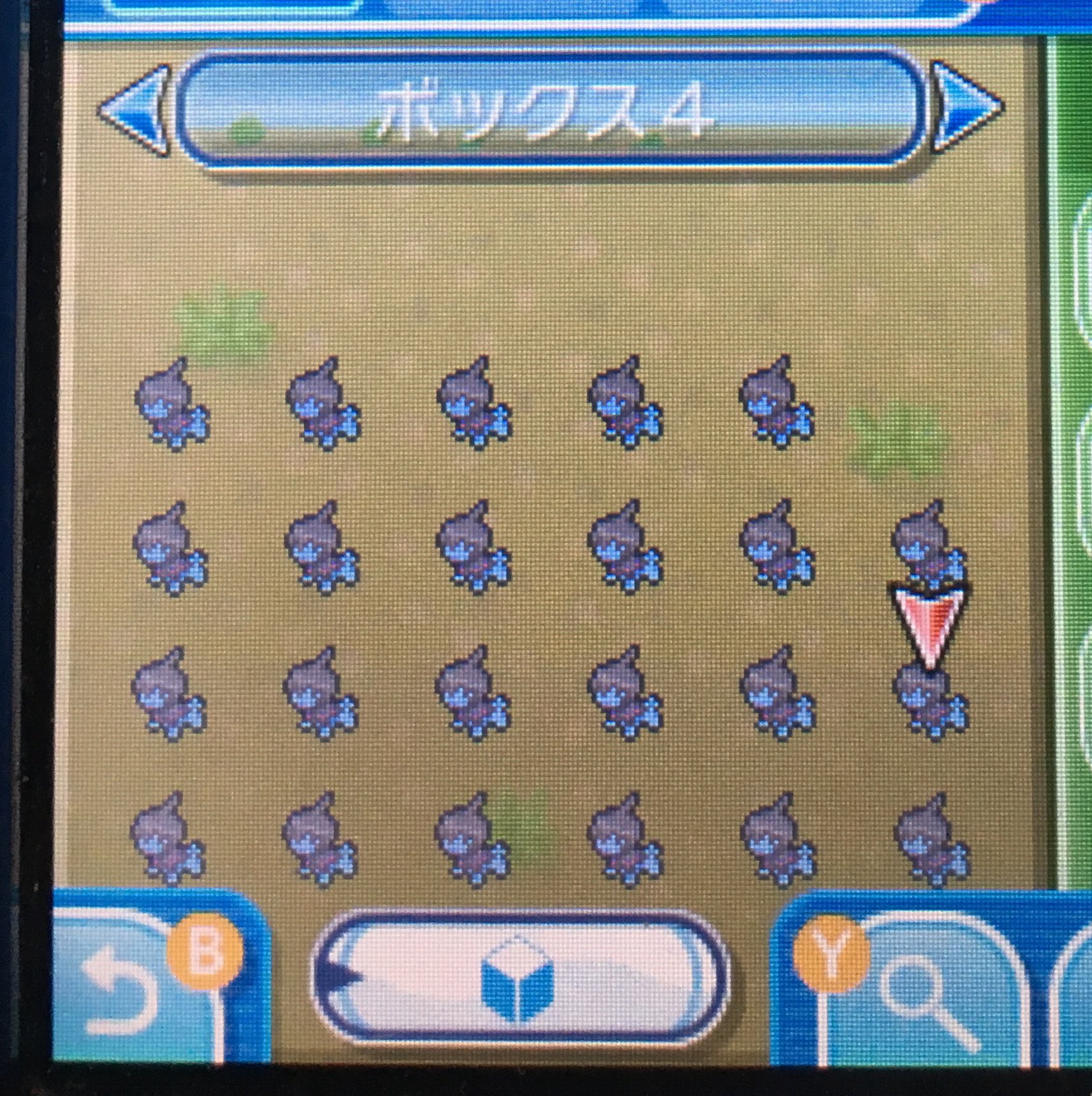 フミヤ Pokemon Fumiya Twitter