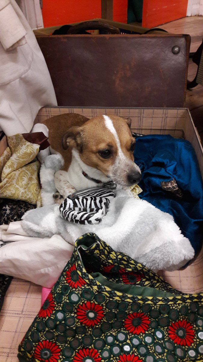 #Cherry goes Vintage