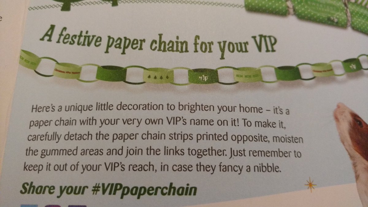 Boristfrog's tweet photo. my #vippaperchain failed to include my bunnies names, despite the envelope knowing their names.
#fail @PetsatHome https://t.co/S0J9alBadV