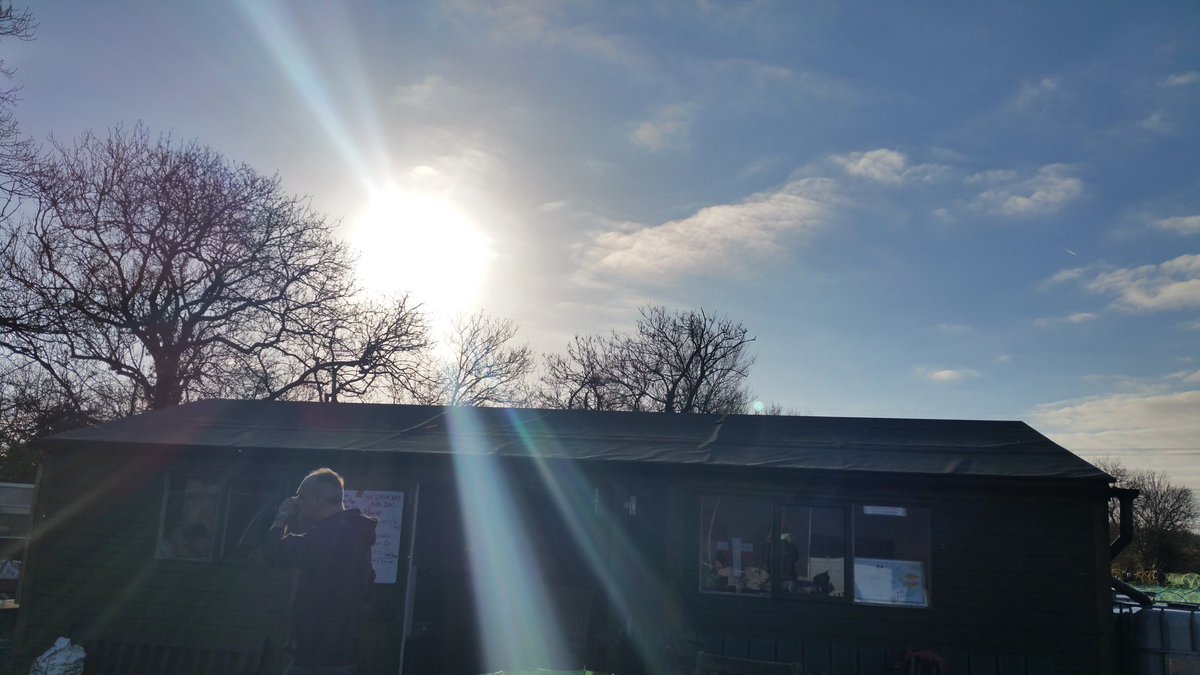 Community_Farm's tweet photo. Another lovely sunny morning on the farm....looking forward to roasting the parsnips!😊☉#hampshire #communityfarm https://t.co/0dLWDbfcwo