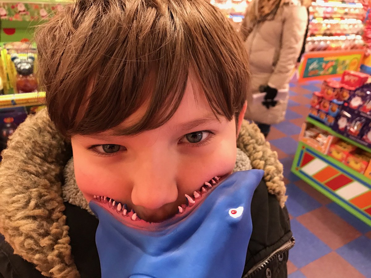 williamsfaye's tweet photo. Michael would love this soft and cuddly shark from @Freak_Lunchbox  #downtowndollars #charlottetown https://t.co/OG16RA48Gp