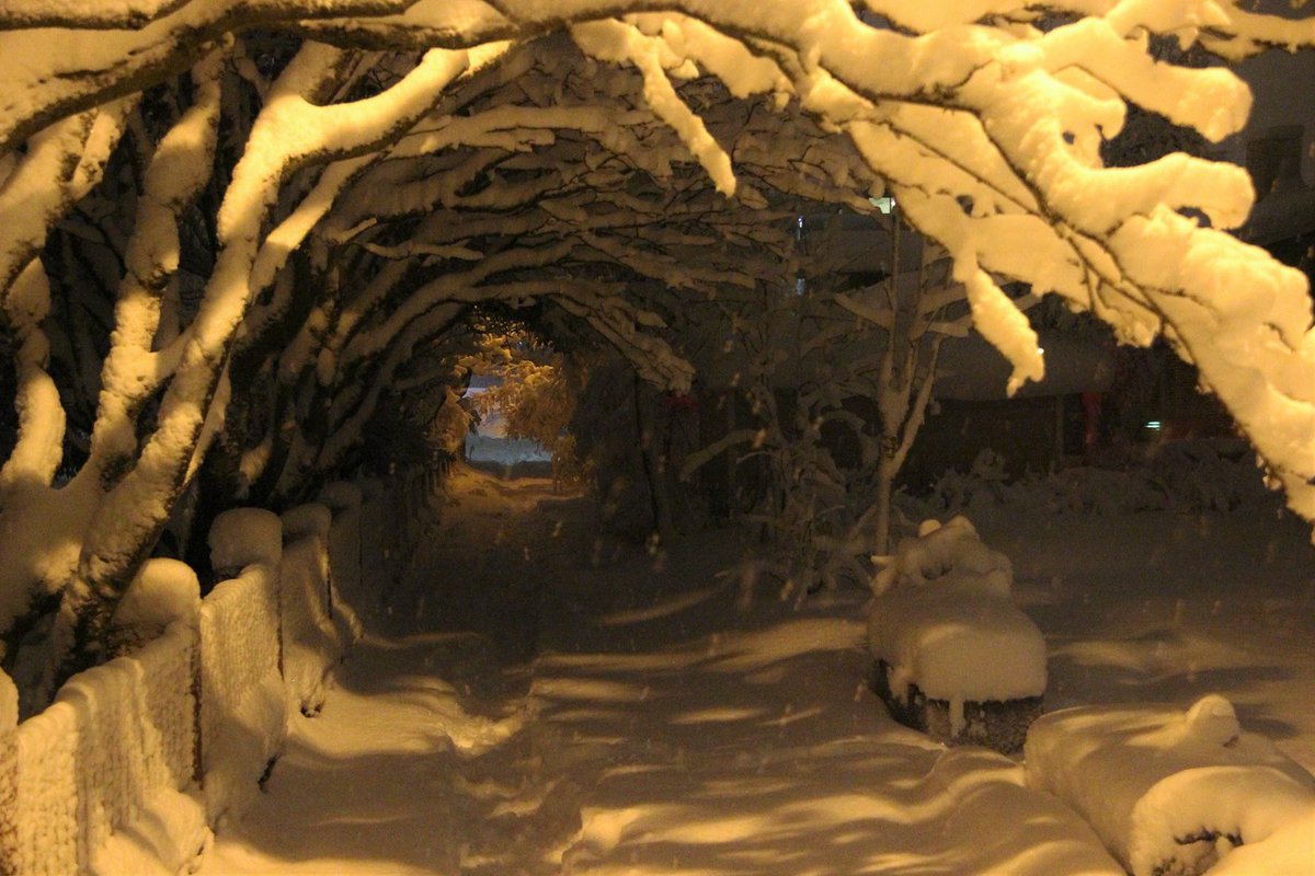 mannfjandi's tweet photo. þessi mynd var tekin 1. des 2015... https://t.co/jfpTjRxhmC