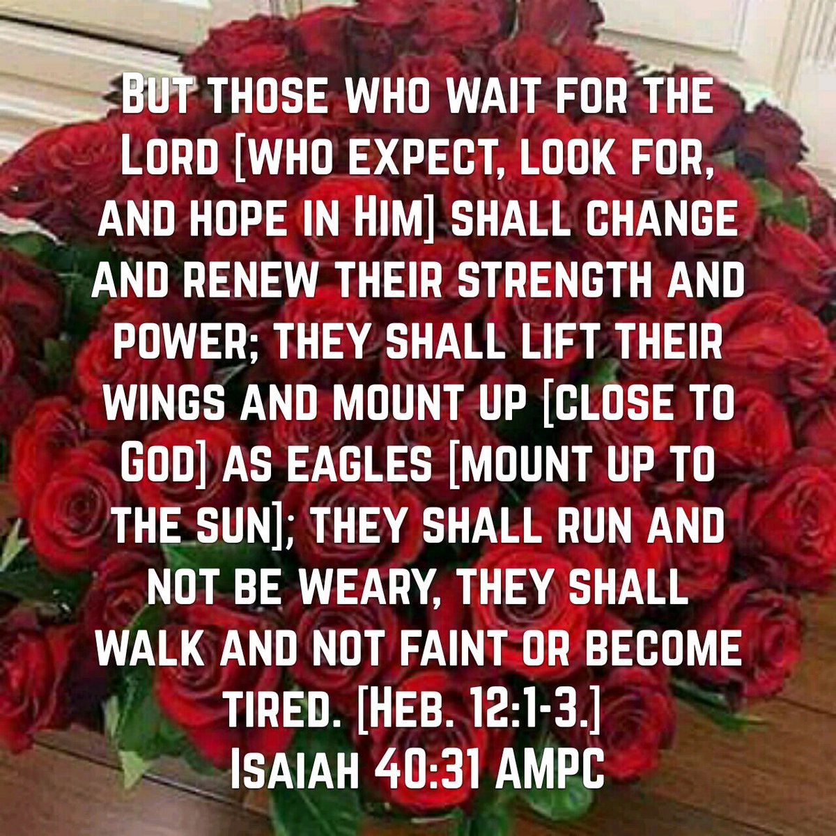 Sheryl Lynn Siler tweet media