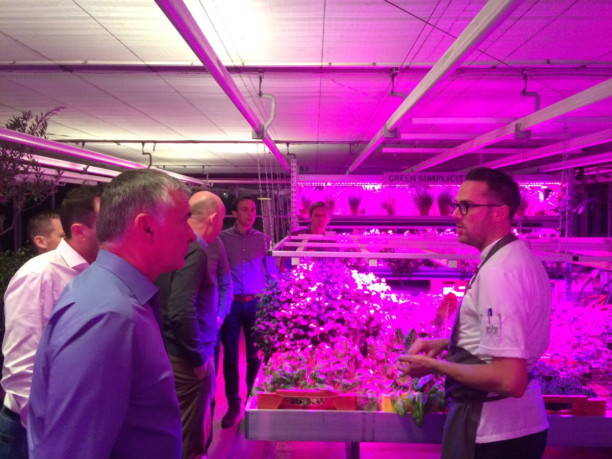 StefaanVandist's tweet image. Chefkok Rob van @restaurantdekas legt uit hoe hij  ingrediënten teelt in zowel hightech als lowtech #ledfarming #hydrophonics #vollegrond