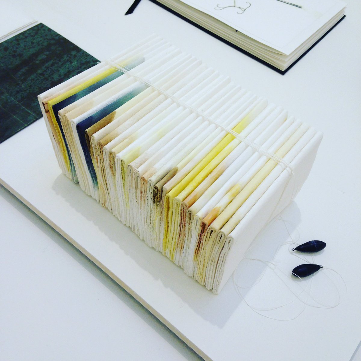 FelicityBristow's tweet photo. My artist book #TheBanksofaRiver #November has been selected for @VisualArtsScot exhibition! @RoyalScotAcad #FLY2016 #VAS2016 🌾🌾📚 https://t.co/7pL3I1s1qp