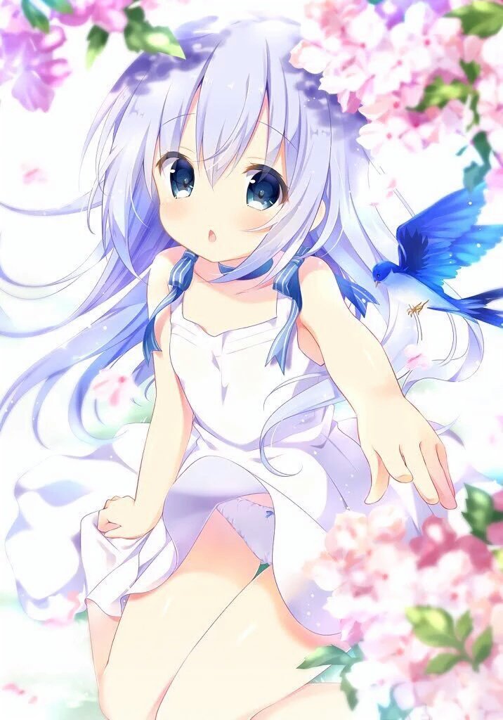 yzqsakurashinm2's tweet photo. チノちゃん お誕生日おめでとうございます！！
愛くるしい癒しキャラです♪♪ほんとにおめでとうございます！！
#香風智乃生誕祭 
#香風智乃生誕祭2016 
#12月4日はチノちゃんの誕生日 
#ごちうさ難民はRT 
#ごちうさ難民と繋がりたい 
#RTした人全員フォローする https://t.co/gXnMzmGQJC