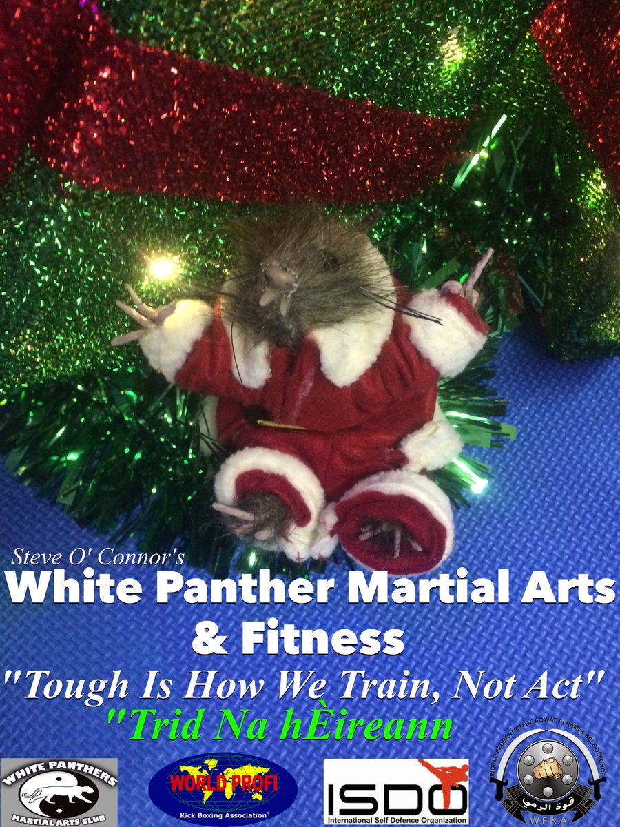 SteveOConnor1's tweet photo. Santa Paws under our Christmas Tree. He can be a little cheeky. #kickboxing #mma #Tralee #childrenskickboxing #FunForChildren #SteveOConnor https://t.co/MqvGew9wTk