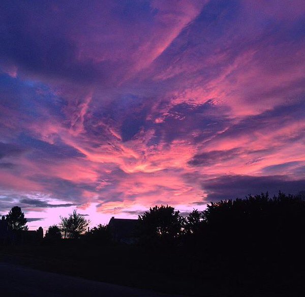 Jnews-France.fr tweet media