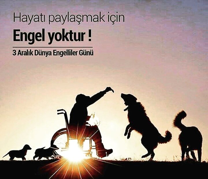 Sevgi varsa engel yoktur ! 
#3aralıkdünyaengellilergünü #7tepetip