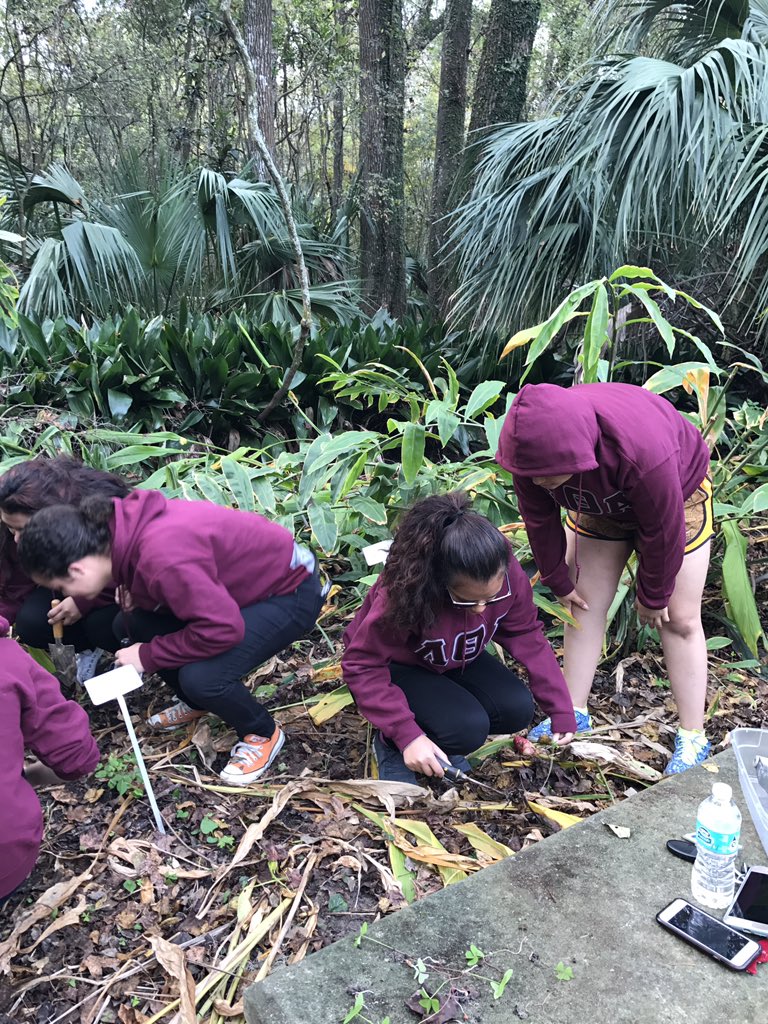 UFODPhi's tweet photo. Service at the Kanapaha Gardens with the @LTA_Chi ! https://t.co/2HzDtECqna