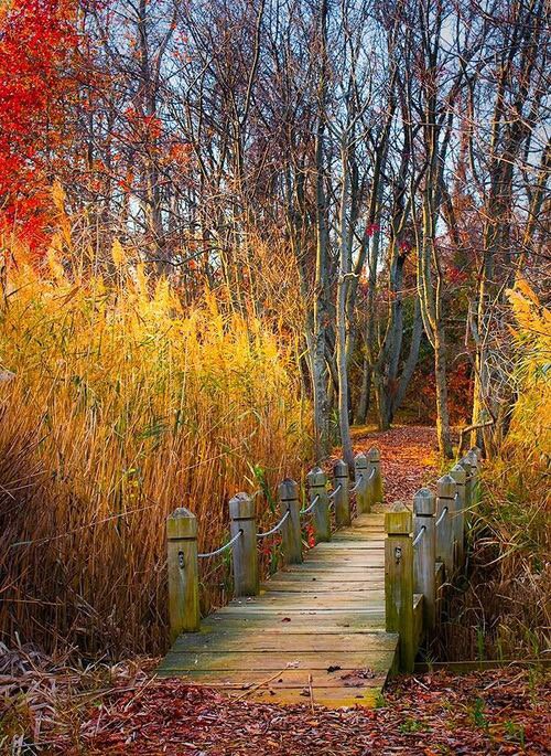 Danielle (@danchantall9) on Twitter photo 