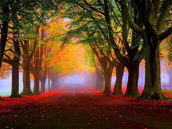 Danielle (@danchantall9) on Twitter photo 