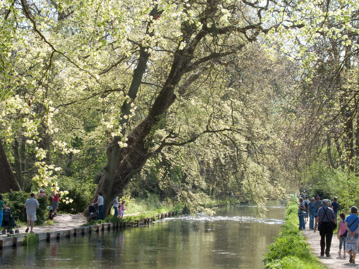 TheTreeCouncil's tweet photo. #ReasonsToBeTreeful (Part 28) Trees improve health and wellbeing; good for the nationโs condition #GreenGym #ChangingViews #NationalTreeWeek https://t.co/oUubwrFPlP