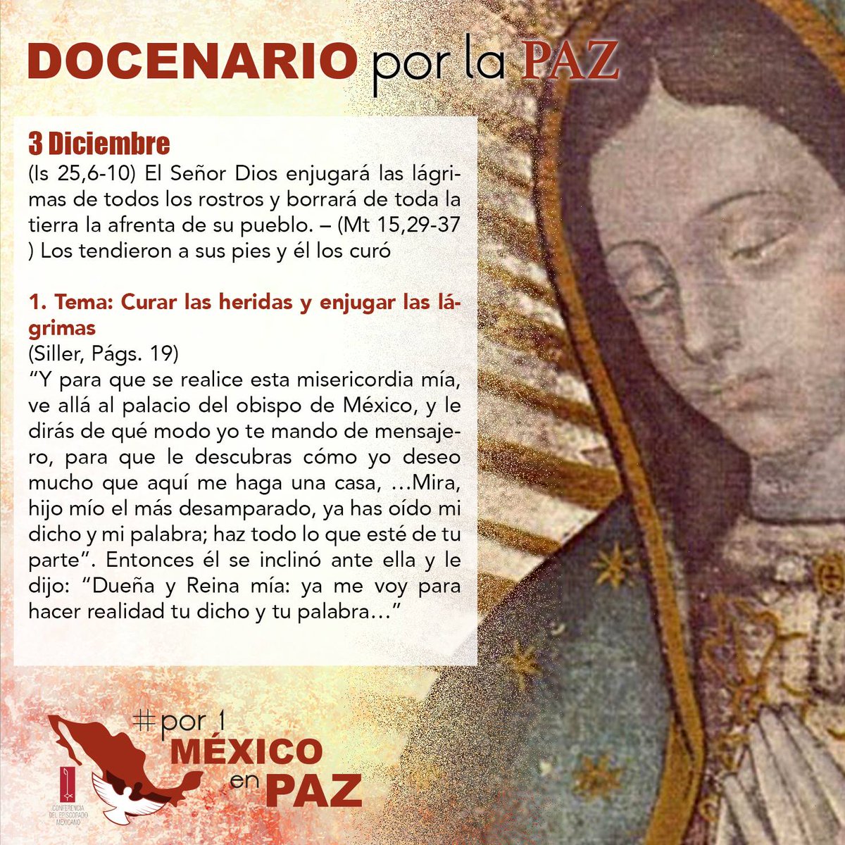 IglesiaMexico's tweet photo. #VirgendeGuadalupe, aumenta nuestra fe Santísima Madre. #Por1MéxicoenPaz #12deDiciembre https://t.co/92xNLhnMnW
