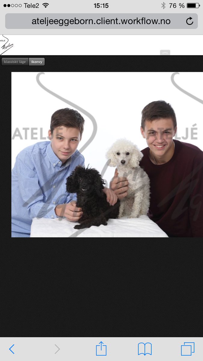 Rebecca Rundgren (@linnearebecca) | Twitter