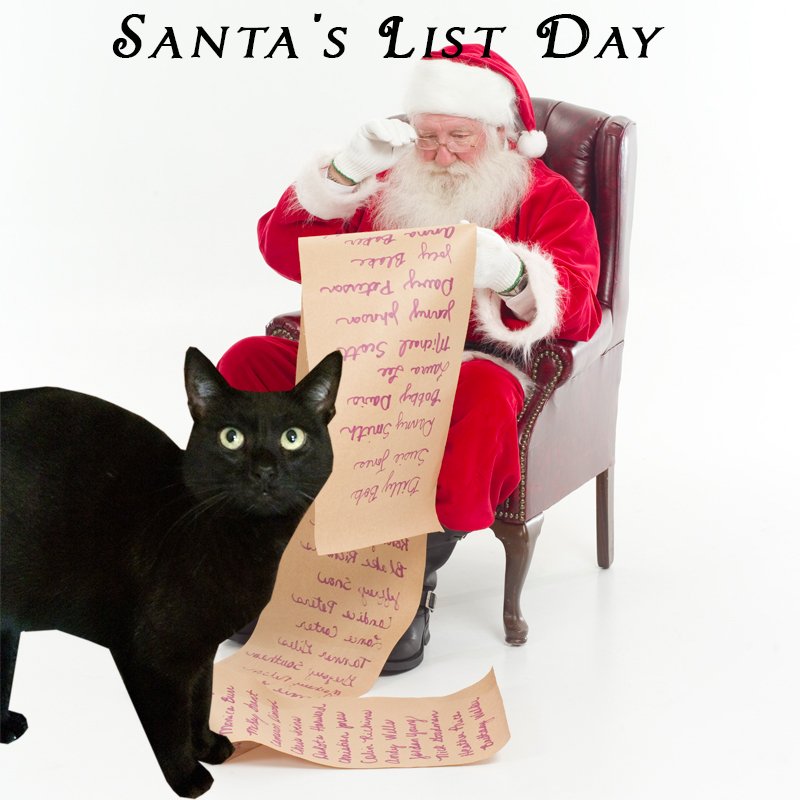 petsalive's tweet photo. Queen is asking Santa for a forever home for herself and all her friends here at Pets Alive.  Sunny, high near 41. #AdoptWeatherCatQueen https://t.co/yAvQTj4PXs