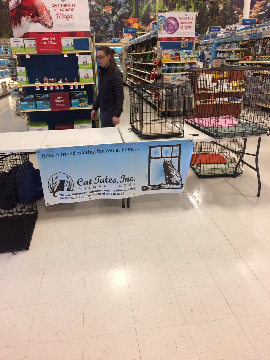 Cat and kittens for adoption this weekend at the Warminster PetSmart!  Sat and Sun 11-2!!