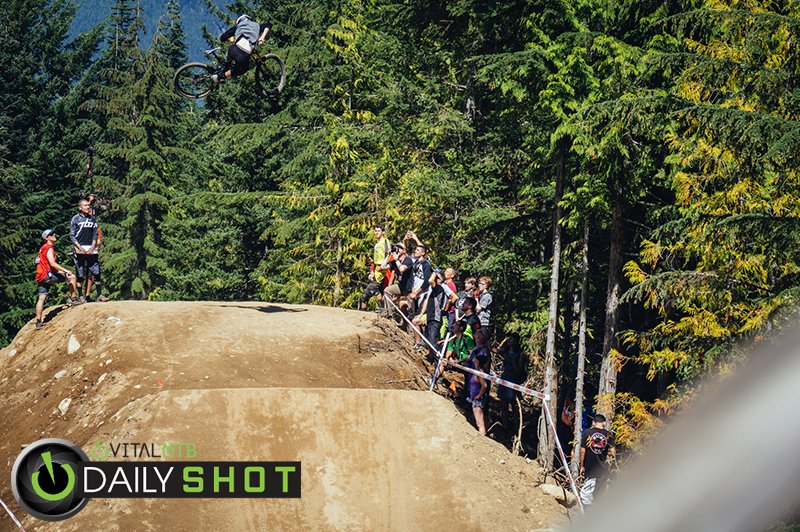 Vital MTB tweet media