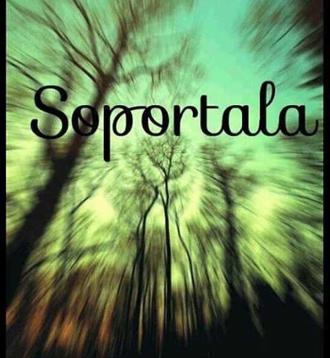 fumoganjah420 tweet picture