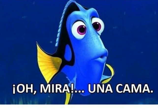 Libertad_Noti's tweet image. Cuando te despiertas temprano y no tienes nada que hacer: