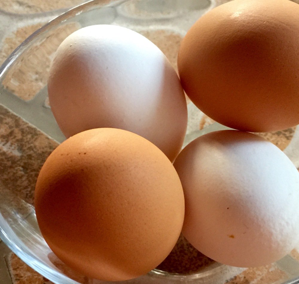 JenniferNeily's tweet photo. Did you know white &amp; brown eggs are no different nutritionally? The breed of hen determines the color shell. #rdchat https://t.co/ouAttDG7B1