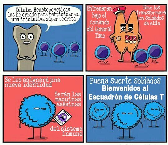 lab_informatica's tweet photo. #HumorDeSabado
#HumorInteligente
#Inmunologia
#LinfocitosT
#InformaticaUC https://t.co/SktEUFxVMO