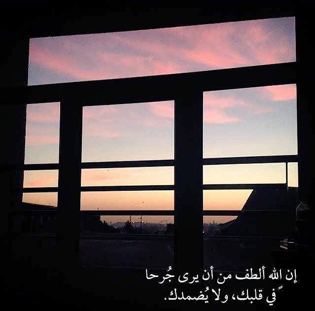 3DL's tweet photo. سيشعر قلبك بالراحه فقط حين تدعو لله وتخبره عن مايؤلم قلبك وتطلب تحقيق امنياتك وان كانت مستحيله , بدلاً من أن تشكو لبشر لا نفع عندهم ولا ضر🌿. https://t.co/VJdjbmY92a