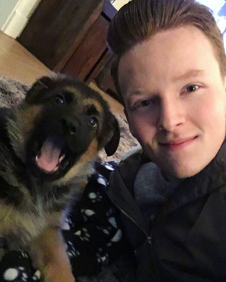 RyanRGerrard's tweet photo. ❤️🐶 https://t.co/Ymt2JFpsmX