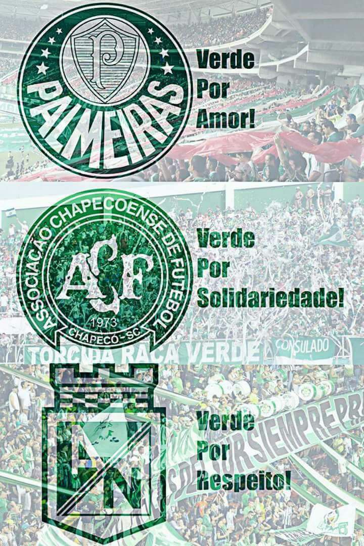 juliano_nazari's tweet photo. Que Deus conforte os corações de todas as famílias, e que possamos incorporar a solidariedade e o amor em nossas ações #Forca_chape https://t.co/pJ57Ve4QqO