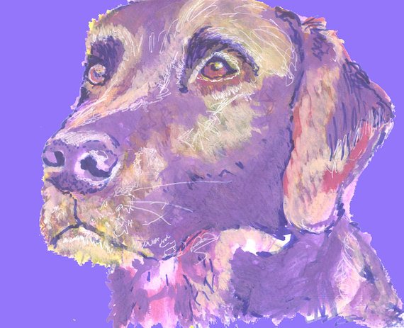 OscarJetson's tweet photo. Labrador wall art print Violet ,Cream, Pink lab dog gift labrador d… https://t.co/7Aj1HpLXVB #puppy #LabradorArtwork https://t.co/5i53ZUk2oC