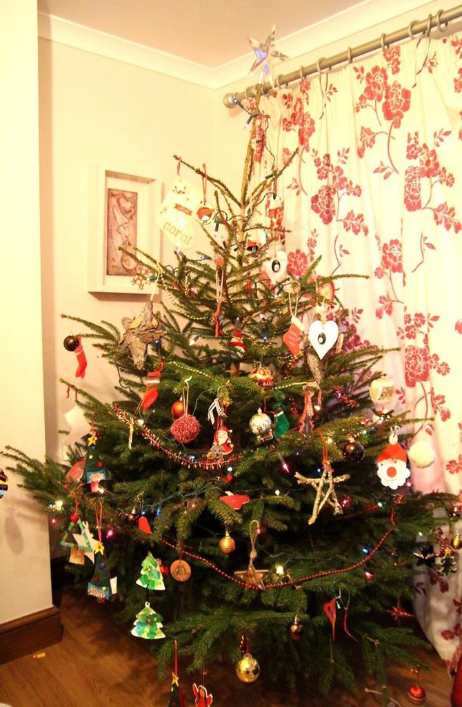 DafyddLlinos's tweet photo. Hwyl yr ŵyl #coedennadolig #siopalleol #tanwyddteifi #croeslan 🎄🎄🎄 https://t.co/yctyvMMt0y