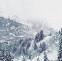 le genre d'endroit où j'aimerais être en ce moment🌲❄️☃