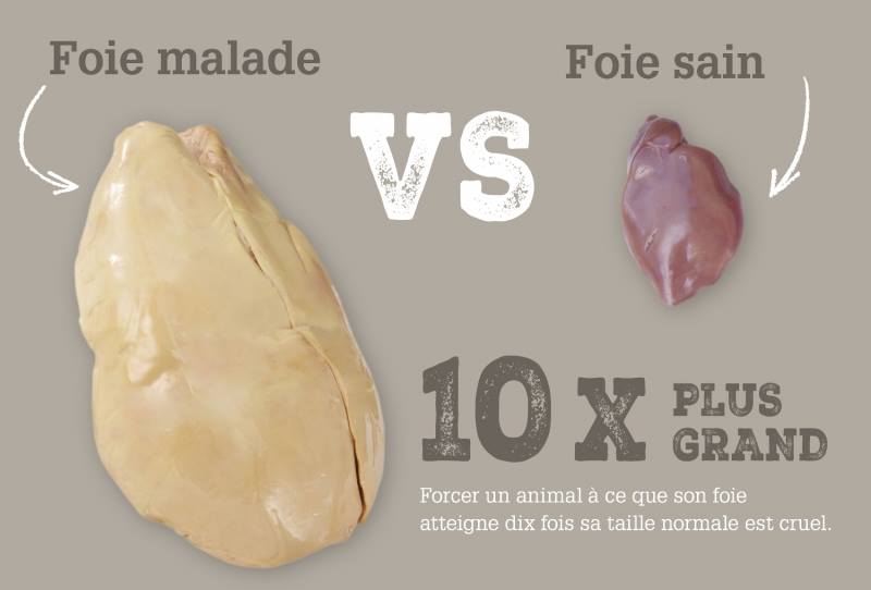 L214's tweet photo. Dans les exploitations, en période de gavage, la mortalité des canards est multipliée par 9.
#StopFoieGras https://t.co/rc5ELqQNnv