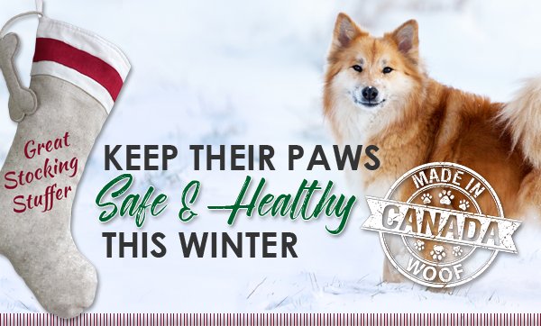 LifeFORCEPets's tweet photo. Keep their paws safe &amp; healthy this winter with lickably safe paw care! #dogs #paws #winter https://t.co/HymBuaOVAw https://t.co/QIrc2LZViQ