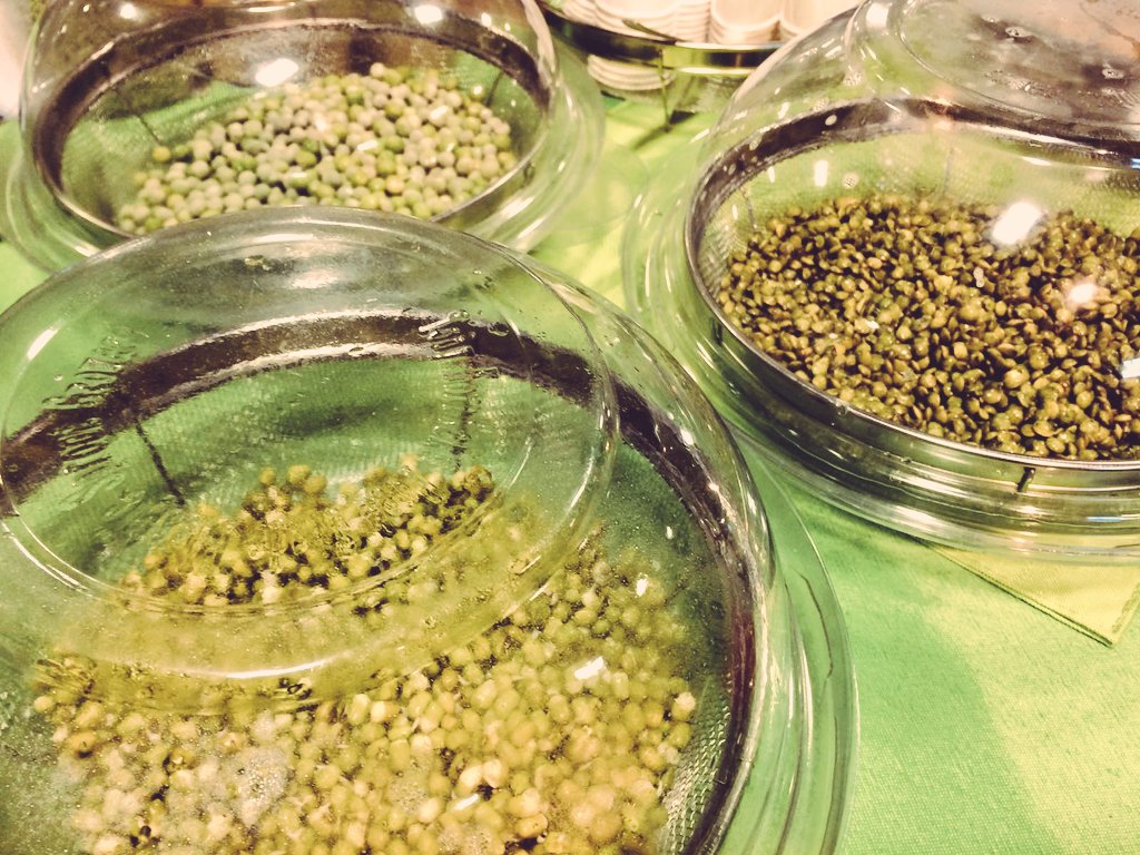 SproutingWorld tweet picture