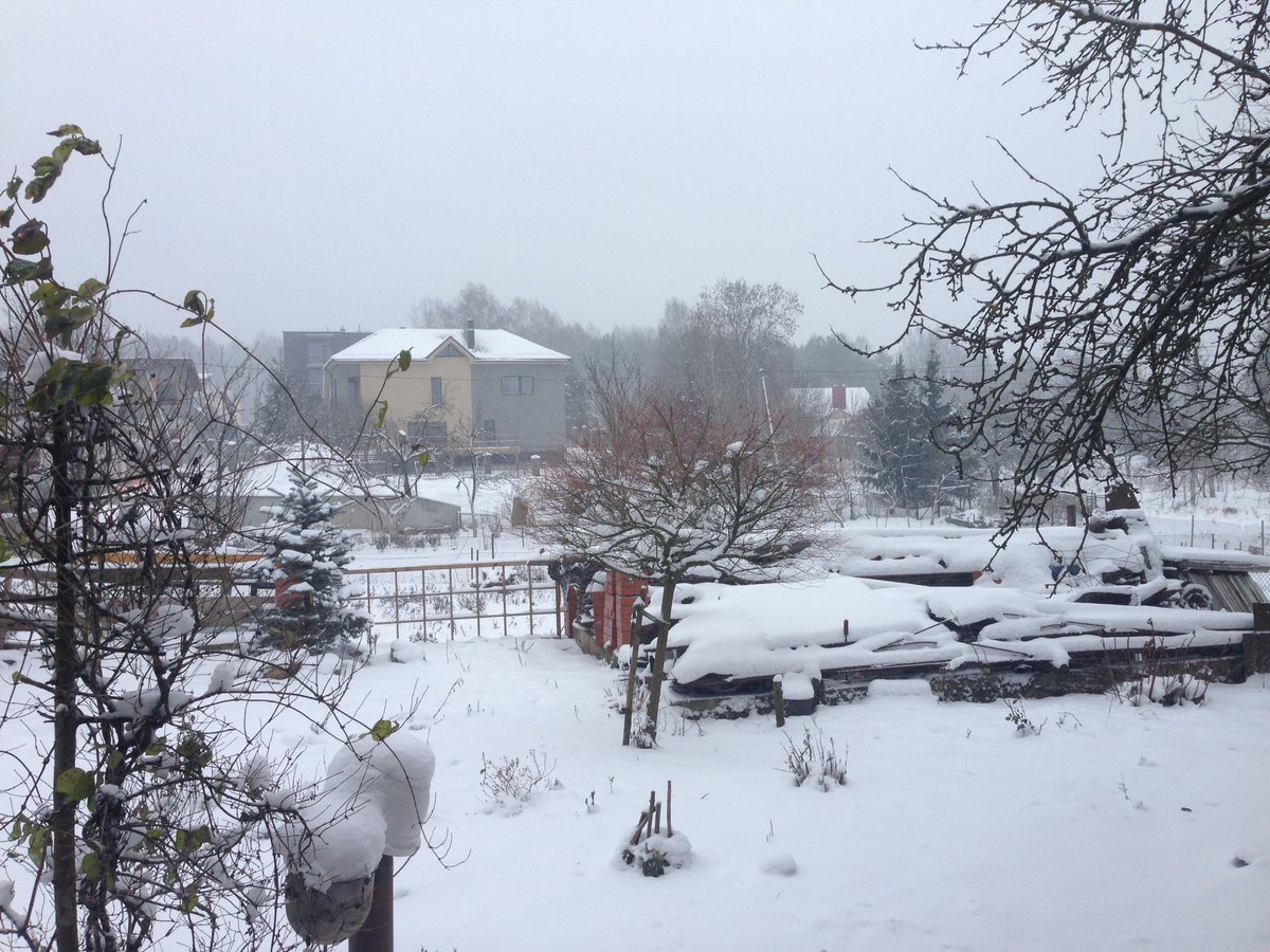 Neve neve❄️🎄🇱🇹🔝