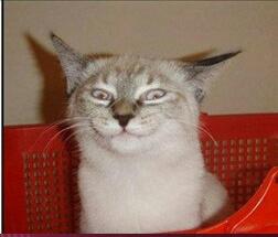 bc99e4adb3e4476's tweet photo. When I hear someone say my name from across the room and I assume its bad https://t.co/qZuYGnTz0g