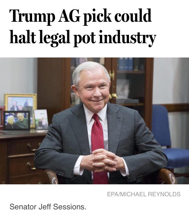 HelpLegalizeTHC's tweet photo. Stop this man #fucktrump #saveweed #PLW #Marijuana #Refer #Ganja #Politics #Stoners #NotMyPresident #legalizeTHC #follow https://t.co/WvGrkc4kOb